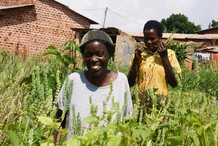 Thinking Outside the Box – the Incredible Journey of Eco-Agric Uganda