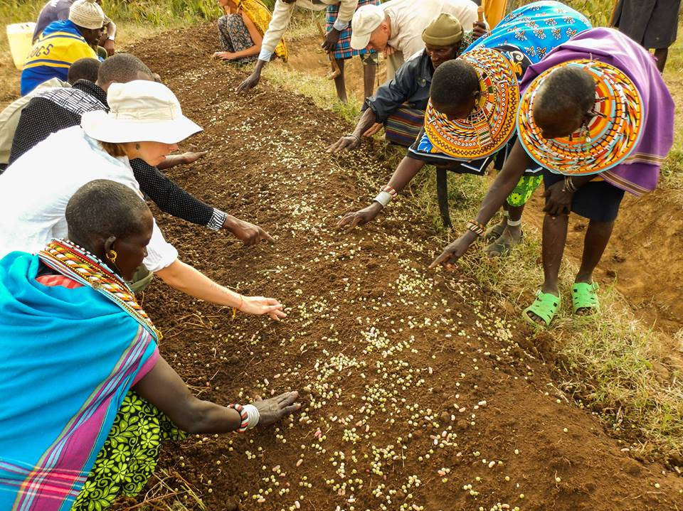 7 Nonprofit Organizations Changing their Communities through Permaculture