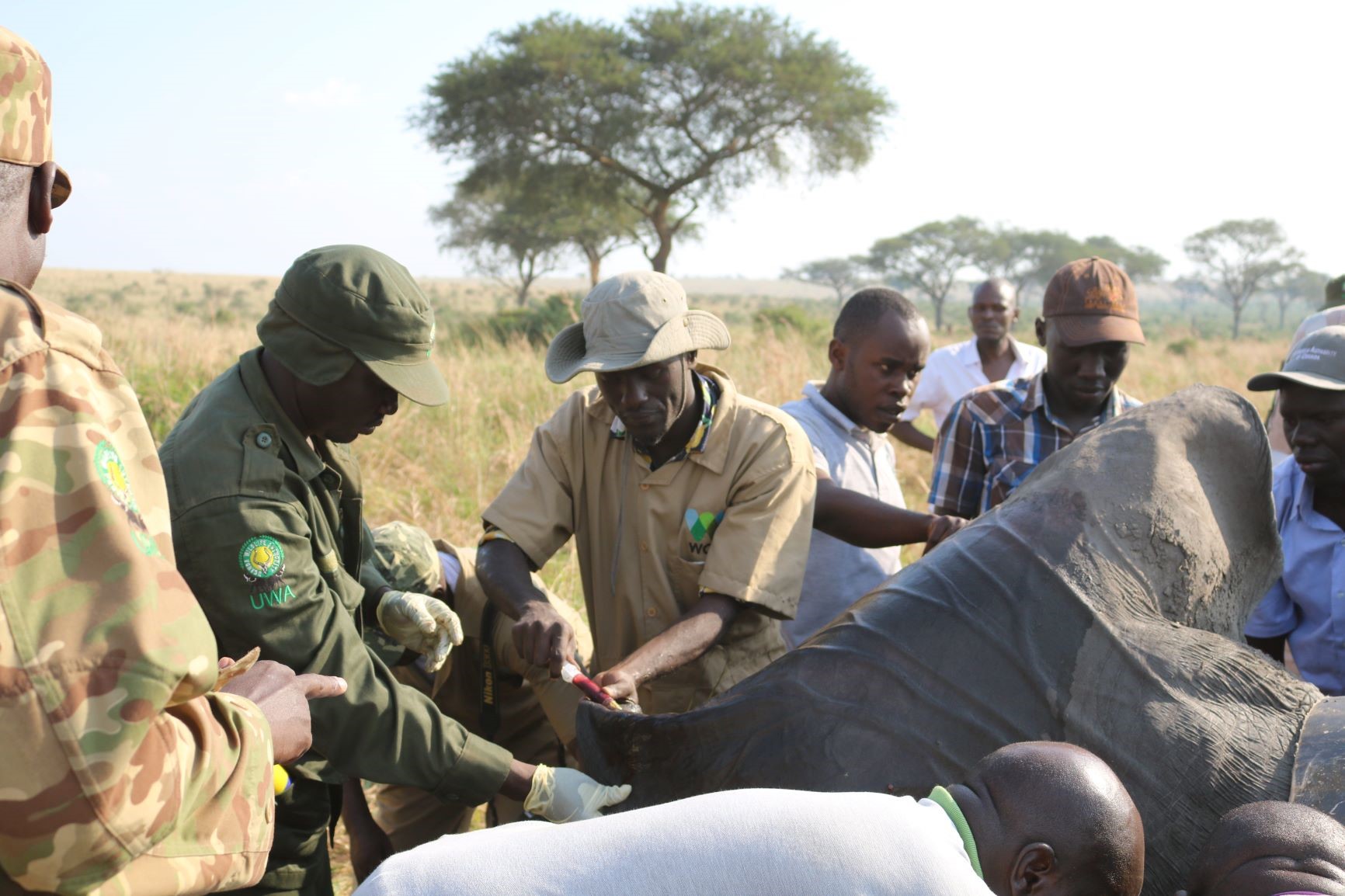 Protecting Wildlife in Uganda – Interview With EWCO
