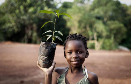 Uganda Is Losing Its Trees &#038; How This Affects You